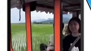 Hallo guys eh, tiba-tiba jatuh ke sawah