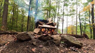 Burning Woods in the Forest
