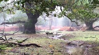 Beautiful nature