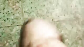 Shitzu
