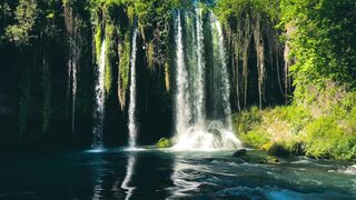 Serene Waterfall in Lush Forest