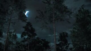 Demon Slayer (Kimetsu no Yaiba) S03E04
