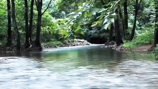 Nature.