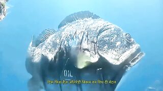 There are no humans on the polluted ocean floor, but there are traces of humans everywhere