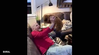 Puppies Go Crazy with Their Humans  Funny Dog and Human 2025