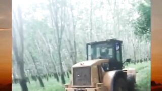 yg ini enaknya diapain