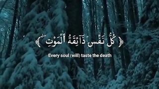 Quran telawat, abdur rahman mussad