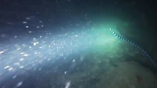 Menyelam di bawah laut