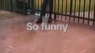 Funny Afrique