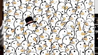 Can u spot the polar bear usa funny jokes