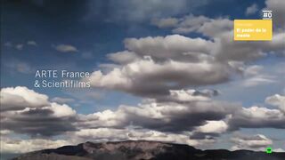 El poder del cerebro (la inteligencia) documental