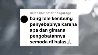 Penyebab ikan lele KEMBUNG cara pengobatan dan cara pencegahannya