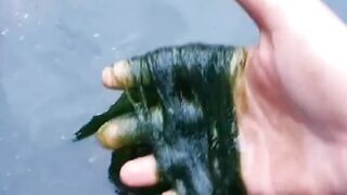Cara mengatasi LUMUT dikolam pemijahan leleLarva mati terjerat LUMUT