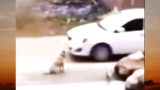 kalau sudah sayang beda cerita