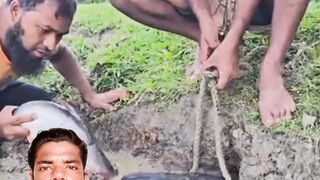 কমট ভইরল কমট ভইরল শরট ভডও