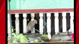 siapa yang bilang saya takut