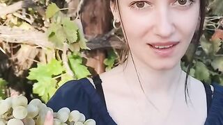 КАКВО Е КОМАВО ВИНО ?
