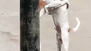 Kuch karo Yar