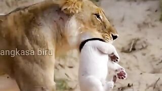 Emotional Stoŕy