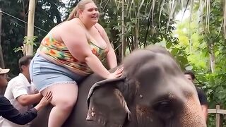 Haathi gir Gaya