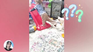 Ultimate Baby  Dog Moments The Sweetest And Cutest Duo - Funny Babies Video COOL PEACHY