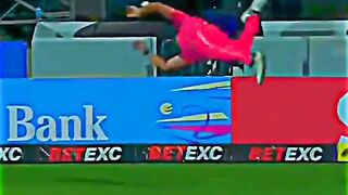 Best Fielding on cricket