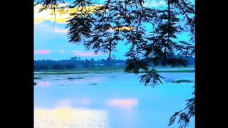 Nature of Beauty