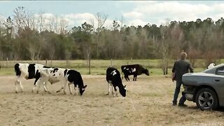 Under the Dome-S02E01 - Heads Will Roll
