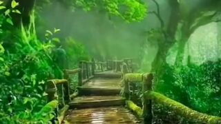قسم اٹھانے کا بیان سنن ابی داؤد 3243