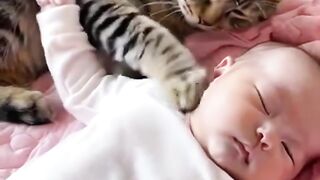 Cats Are Childrens Best Friends   Heartwarming  Cute Moments