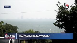НОВИНИ НЕКСТА