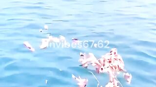Monster Fish Hunt with Rotten Bait!