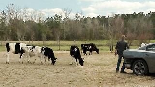 Under the Dome-S03E01 and 2 - Move On But im Not
