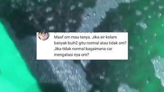 Penyebab air kolam BERBUSA