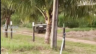 Vai separar da Muié?