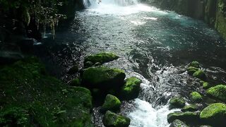 la nature