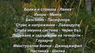 ЗА ВСЯКА БОЛКА