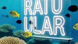 RATUULAR77 - Website Gaming Online Terpercaya Menang Di Bayar!