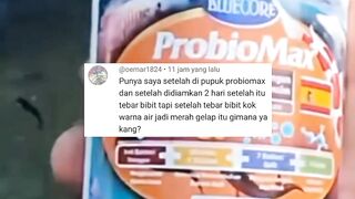 Ternyata MAKHLUK ini yang membuat air kolam jadi MERAH