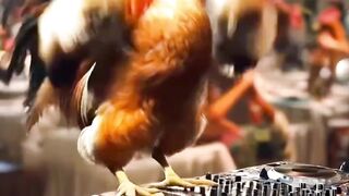 DAFTAR BOSPLAY AGEN SABUNG AYAM ONLINE RESMI AMAN DAN TERPERCAYA
