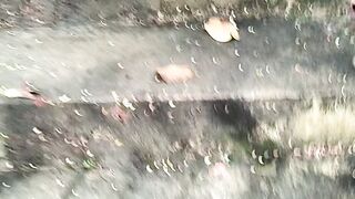 Beautiful nature