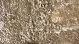 fact beach