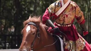 汗血豹马 为热爱 要勇往直前doris taotaoaima horseriding horsevideo horseride horserider horses horse