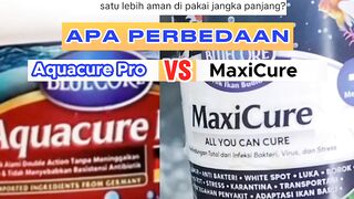 Perbedaan MaxiCure vs Aquacure ProObat ikan lele