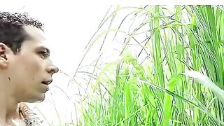 In the tall grass 2019