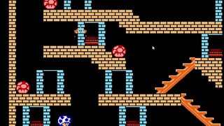 Toads Crazy Castle