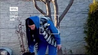 ЧИНЧИЛА