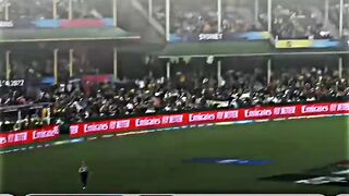 What a catch. Flying like a bird. Amazing fielding