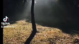 Nature beautiful