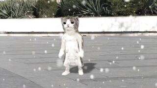 Funny Cats dancing on the most Viral song